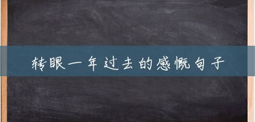 转眼一年过去的感慨句子
