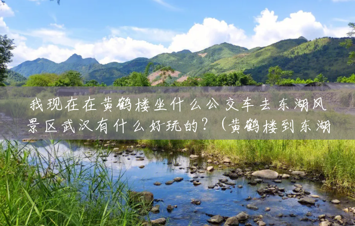 我现在在黄鹤楼坐什么公交车去东湖风景区武汉有什么好玩的?(黄鹤楼到东湖风景区有多远) 我现在在黄鹤楼坐什么公交车去东湖风景区武汉有什么好玩的?(黄鹤楼到东湖风景区有多远)
