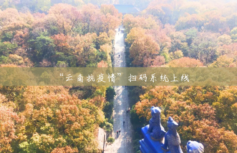 “云南抗疫情”扫码系统上线