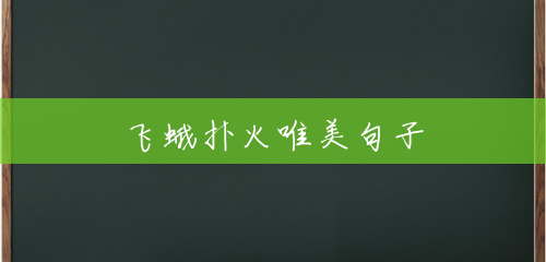 飞蛾扑火唯美句子 飞蛾扑火唯美句子