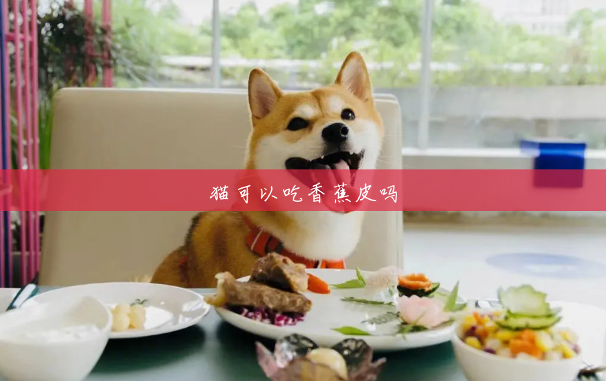 猫可以吃香蕉皮吗 猫可以吃香蕉皮吗