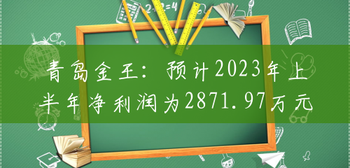 青岛金王：预计2023年上半年净利润为2871.97万元~3313.82万元，同比增长30%~50%