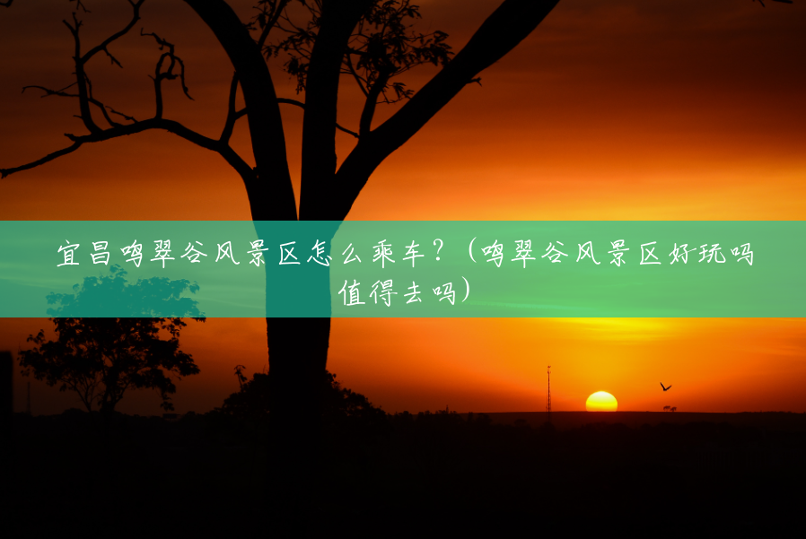 宜昌鸣翠谷风景区怎么乘车?(鸣翠谷风景区好玩吗值得去吗) 宜昌鸣翠谷风景区怎么乘车?(鸣翠谷风景区好玩吗值得去吗)