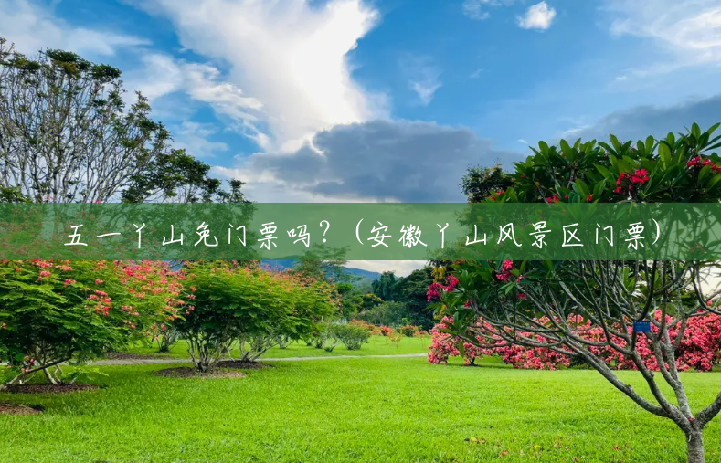 五一丫山免门票吗?(安徽丫山风景区门票) 五一丫山免门票吗?(安徽丫山风景区门票)