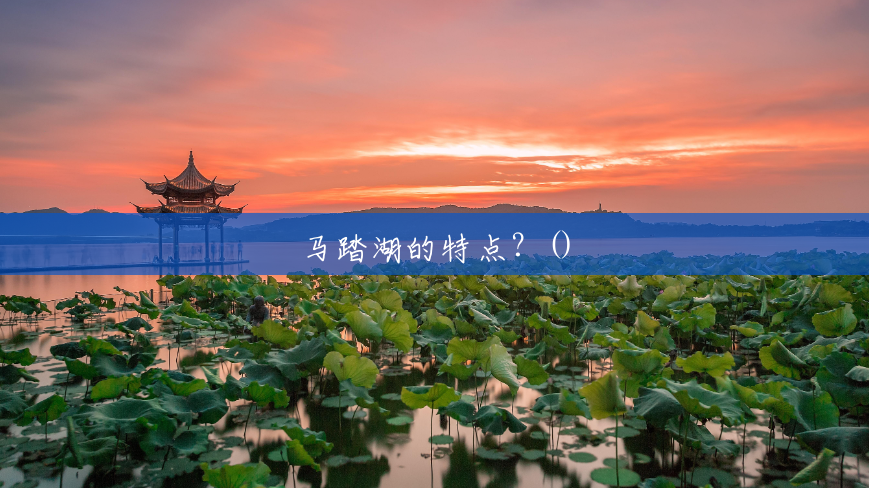 马踏湖的特点？()