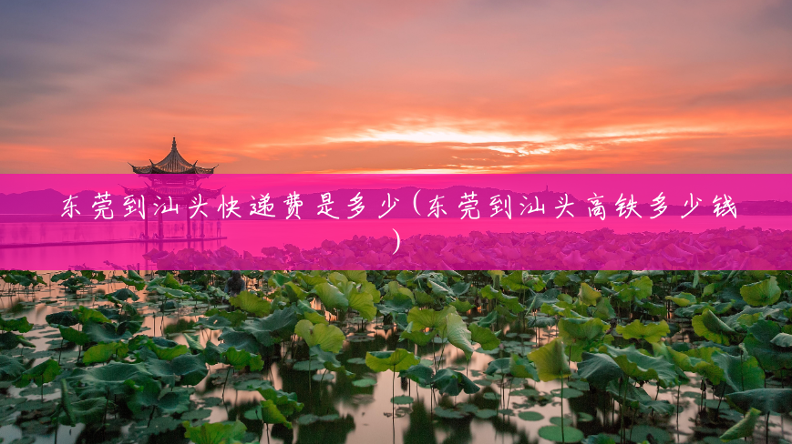 东莞到汕头快递费是多少(东莞到汕头高铁多少钱) 东莞到汕头快递费是多少(东莞到汕头高铁多少钱)