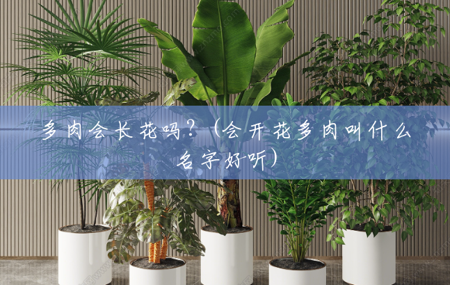 多肉会长花吗?(会开花多肉叫什么名字好听) 多肉会长花吗?(会开花多肉叫什么名字好听)