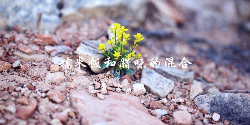 糯米饭和腊味的混合 糯米饭和腊味的混合