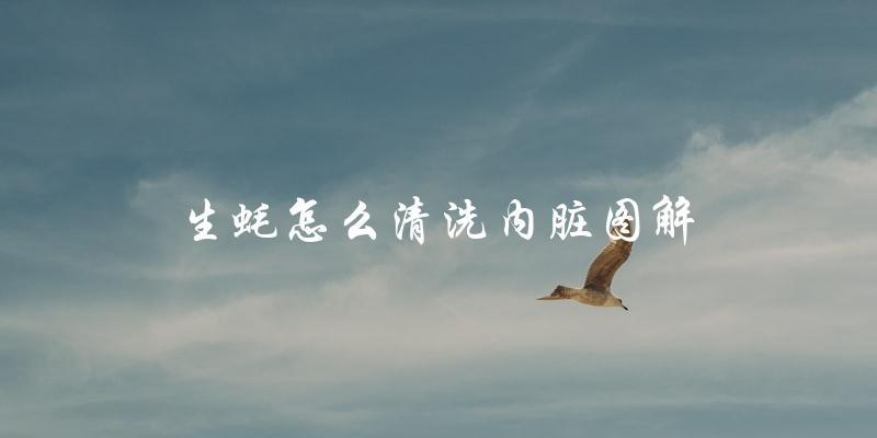 生蚝怎么清洗内脏图解 生蚝怎么清洗内脏图解
