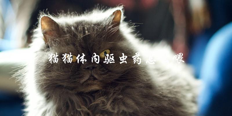 如何正确喂猫猫体内驱虫药? 如何正确喂猫猫体内驱虫药?