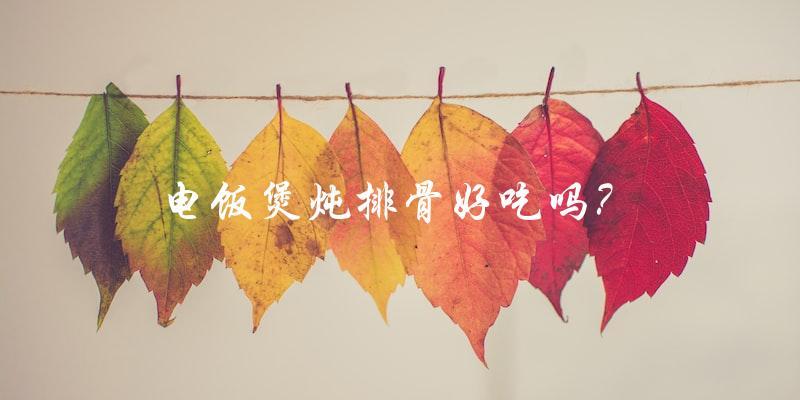 电饭煲炖排骨好吃吗? 电饭煲炖排骨好吃吗?