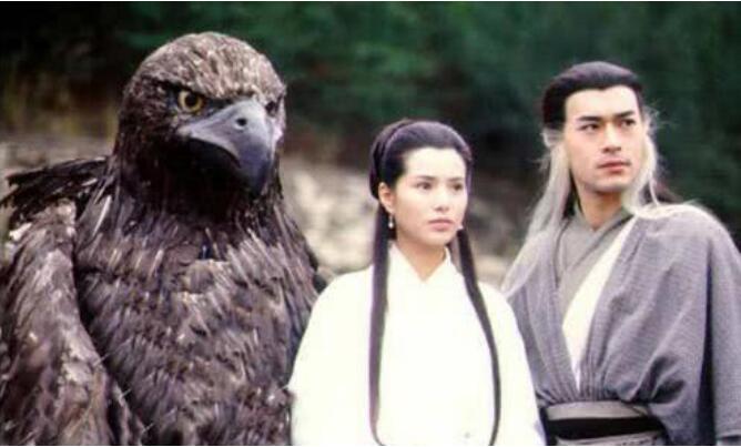 杨过被神雕教会了什么武功(神雕侠侣杨过练功)