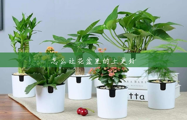 怎么让花盆里的土更好 怎么让花盆里的土更好