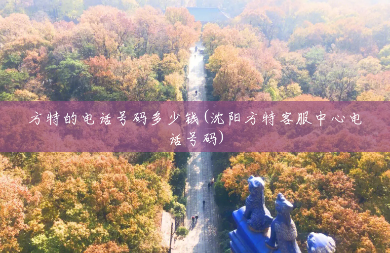 方特的电话号码多少钱(沈阳方特客服中心电话号码) 方特的电话号码多少钱(沈阳方特客服中心电话号码)