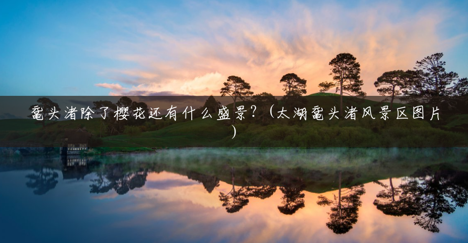 鼋头渚除了樱花还有什么盛景?(太湖鼋头渚风景区图片) 鼋头渚除了樱花还有什么盛景?(太湖鼋头渚风景区图片)