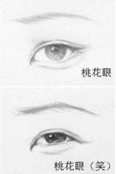 严屹宽眼睛是桃花眼吗(严屹宽的五官)