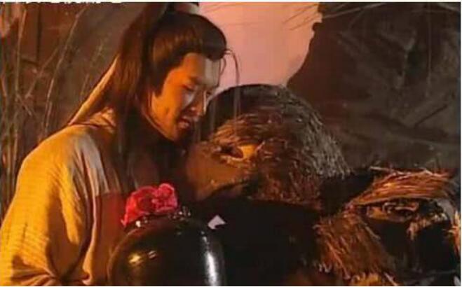 杨过被神雕教会了什么武功(神雕侠侣杨过练功)