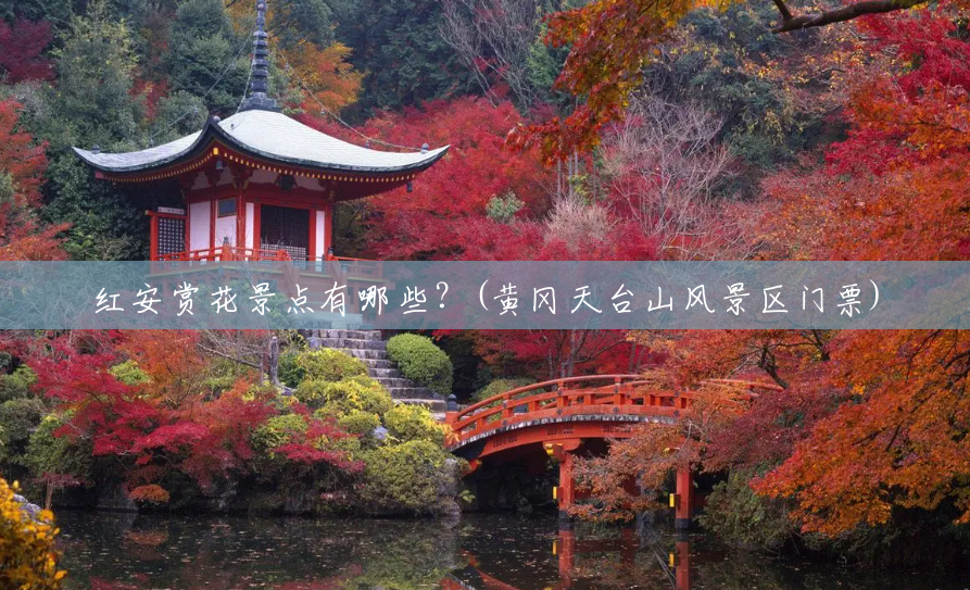 红安赏花景点有哪些?(黄冈天台山风景区门票) 红安赏花景点有哪些?(黄冈天台山风景区门票)