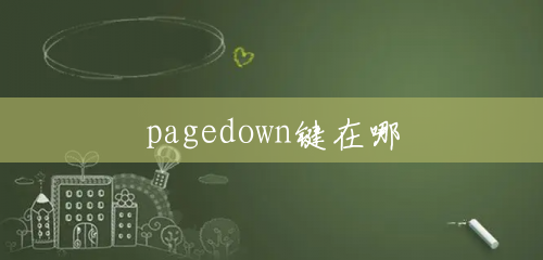pagedown键在哪