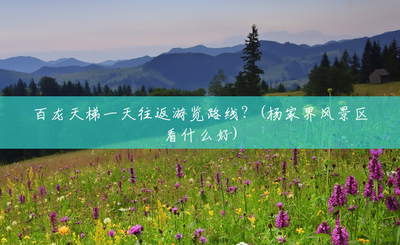 百龙天梯一天往返游览路线?(杨家界风景区看什么好) 百龙天梯一天往返游览路线?(杨家界风景区看什么好)