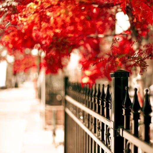 qq个性签名心情