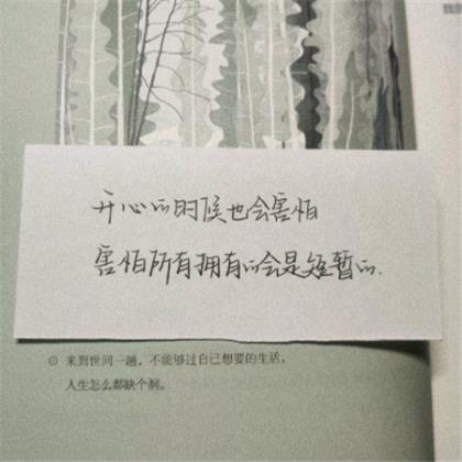 令人愉快的诗句和名言警句