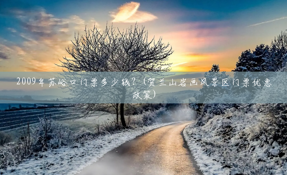 2009年苏峪口门票多少钱?(贺兰山岩画风景区门票优惠政策) 2009年苏峪口门票多少钱?(贺兰山岩画风景区门票优惠政策)