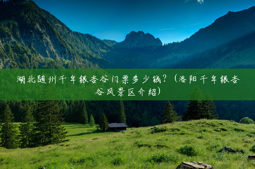 湖北随州千年银杏谷门票多少钱?(洛阳千年银杏谷风景区介绍) 湖北随州千年银杏谷门票多少钱?(洛阳千年银杏谷风景区介绍)