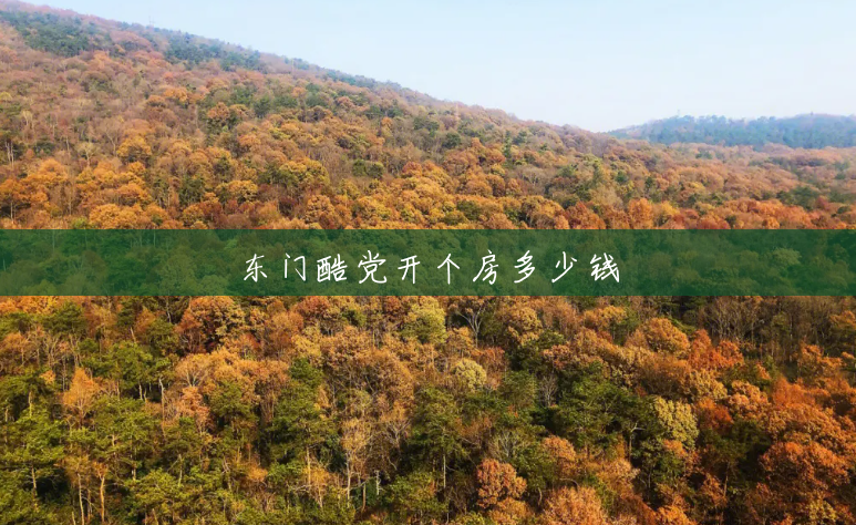 东门酷党开个房多少钱