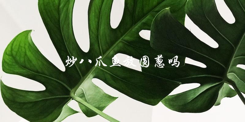 炒八爪鱼要放圆葱吗?答案来了! 炒八爪鱼要放圆葱吗?答案来了!