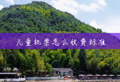 儿童机票怎么收费标准