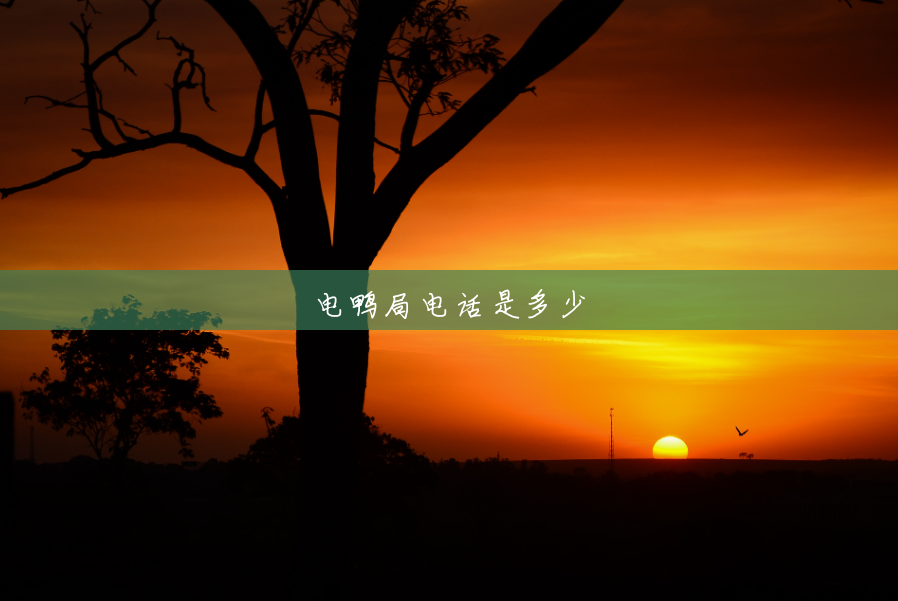 电鸭局电话是多少 电鸭局电话是多少