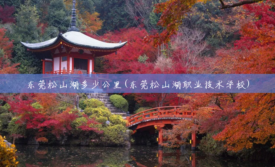 东莞松山湖多少公里(东莞松山湖职业技术学校) 东莞松山湖多少公里(东莞松山湖职业技术学校)