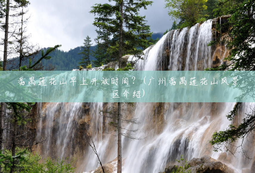 番禺莲花山早上开放时间?(广州番禺莲花山风景区介绍) 番禺莲花山早上开放时间?(广州番禺莲花山风景区介绍)