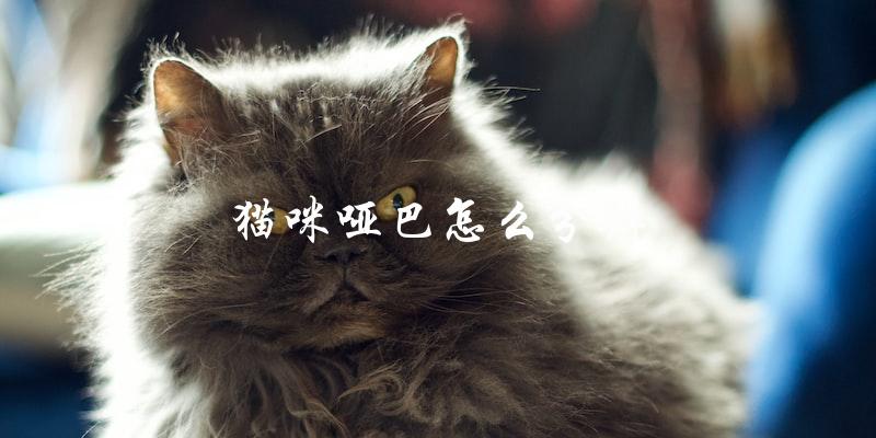 如何分辨一只猫咪是否是哑巴? 如何分辨一只猫咪是否是哑巴?