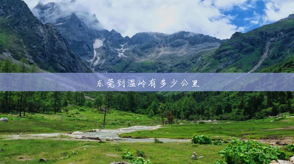 东莞到温岭有多少公里
