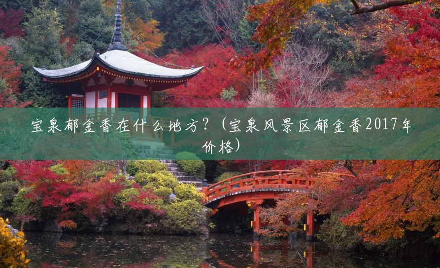 宝泉郁金香在什么地方?(宝泉风景区郁金香2017年价格) 宝泉郁金香在什么地方?(宝泉风景区郁金香2017年价格)