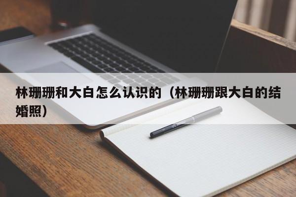 林珊珊和大白怎么认识的(林珊珊跟大白的结婚照)