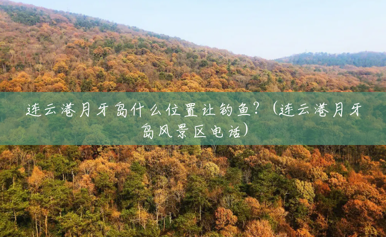 连云港月牙岛什么位置让钓鱼?(连云港月牙岛风景区电话) 连云港月牙岛什么位置让钓鱼?(连云港月牙岛风景区电话)