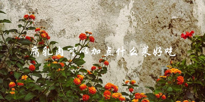 腐乳肉可以加点什么菜好吃 腐乳肉可以加点什么菜好吃