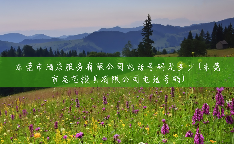 东莞市酒店服务有限公司电话号码是多少(东莞市叁艺模具有限公司电话号码) 东莞市酒店服务有限公司电话号码是多少(东莞市叁艺模具有限公司电话号码)