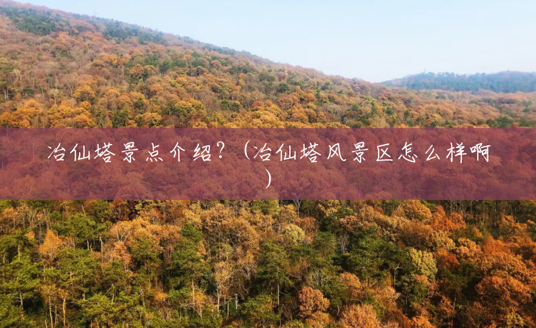 冶仙塔景点介绍？(冶仙塔风景区怎么样啊)