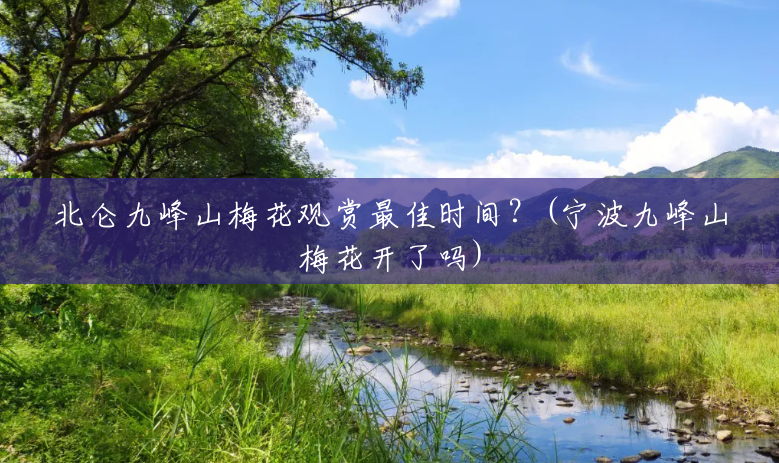 北仑九峰山梅花观赏最佳时间?(宁波九峰山梅花开了吗) 北仑九峰山梅花观赏最佳时间?(宁波九峰山梅花开了吗)
