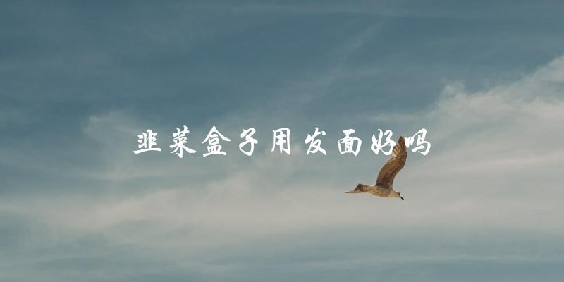 用发面做韭菜盒子好不好?直言实话告诉你! 用发面做韭菜盒子好不好?直言实话告诉你!