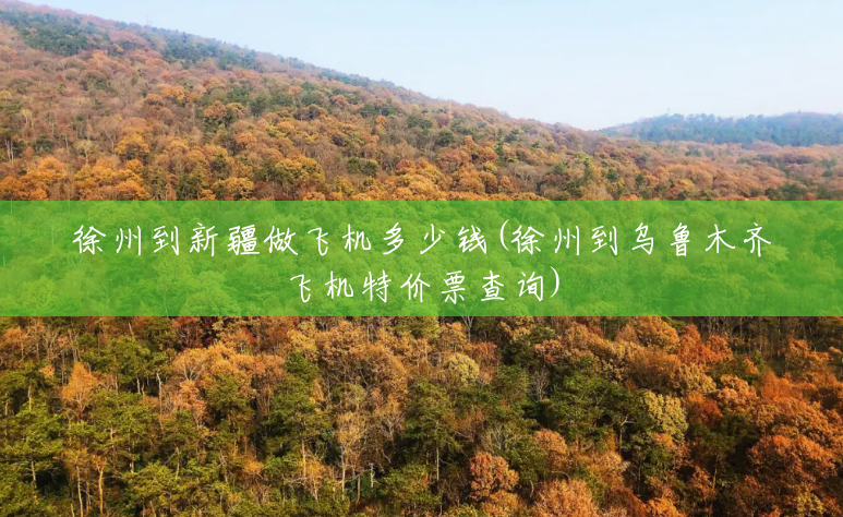 徐州到新疆做飞机多少钱(徐州到乌鲁木齐飞机特价票查询)