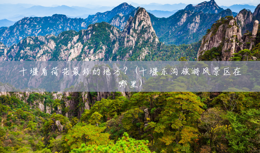 十堰看荷花最好的地方?(十堰东沟旅游风景区在哪里) 十堰看荷花最好的地方?(十堰东沟旅游风景区在哪里)