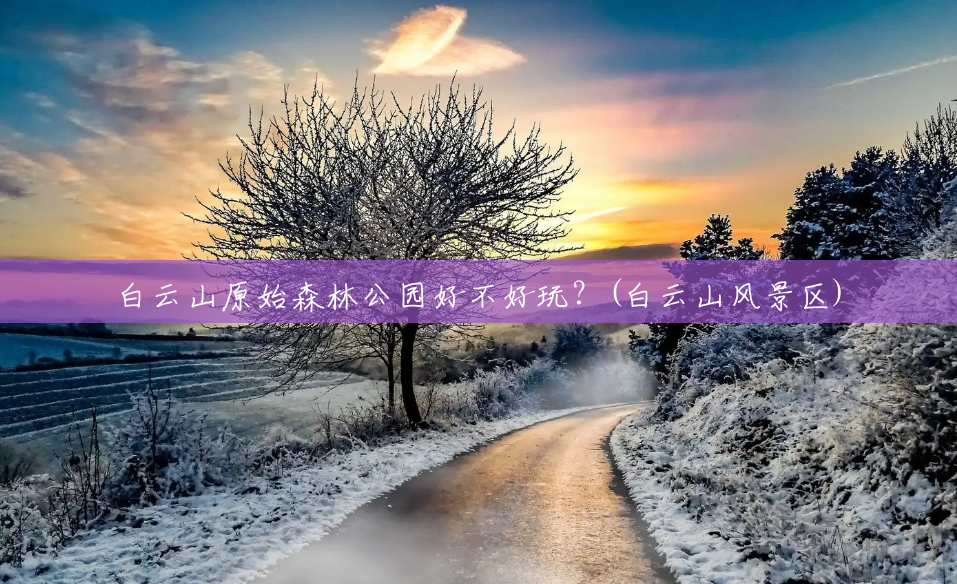 白云山原始森林公园好不好玩？(白云山风景区)