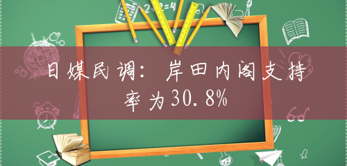 日媒民调：岸田内阁支持率为30.8%
