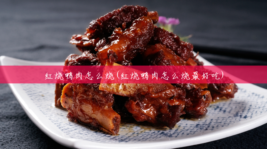 红烧鸭肉怎么烧(红烧鸭肉怎么烧最好吃) 红烧鸭肉怎么烧(红烧鸭肉怎么烧最好吃)
