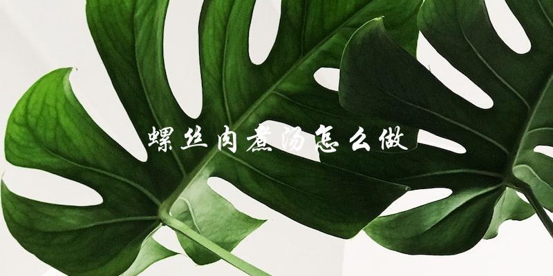 螺丝肉煮汤：简单易做，营养美味